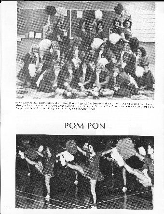 Pom Pon